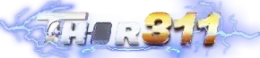THOR311 Logo
